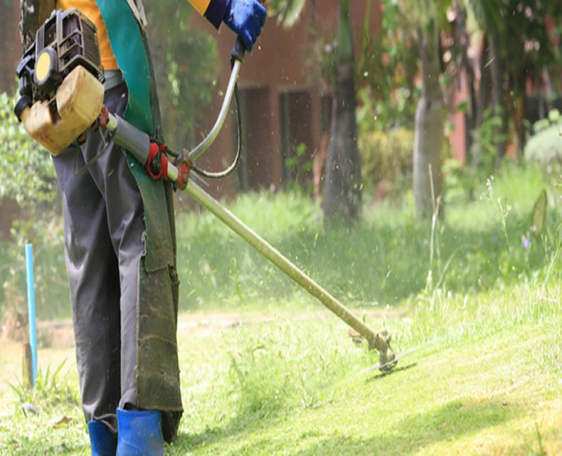 Maintenance Gardening Hydro Plants Kuwait Gardenening Pro